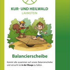 S_21_Balancierscheibe