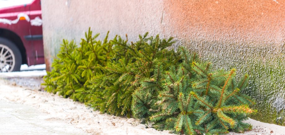 Grün Blau Rot Retro Weihnachtsbaum Weihnachtsmarkt Einladung - 1